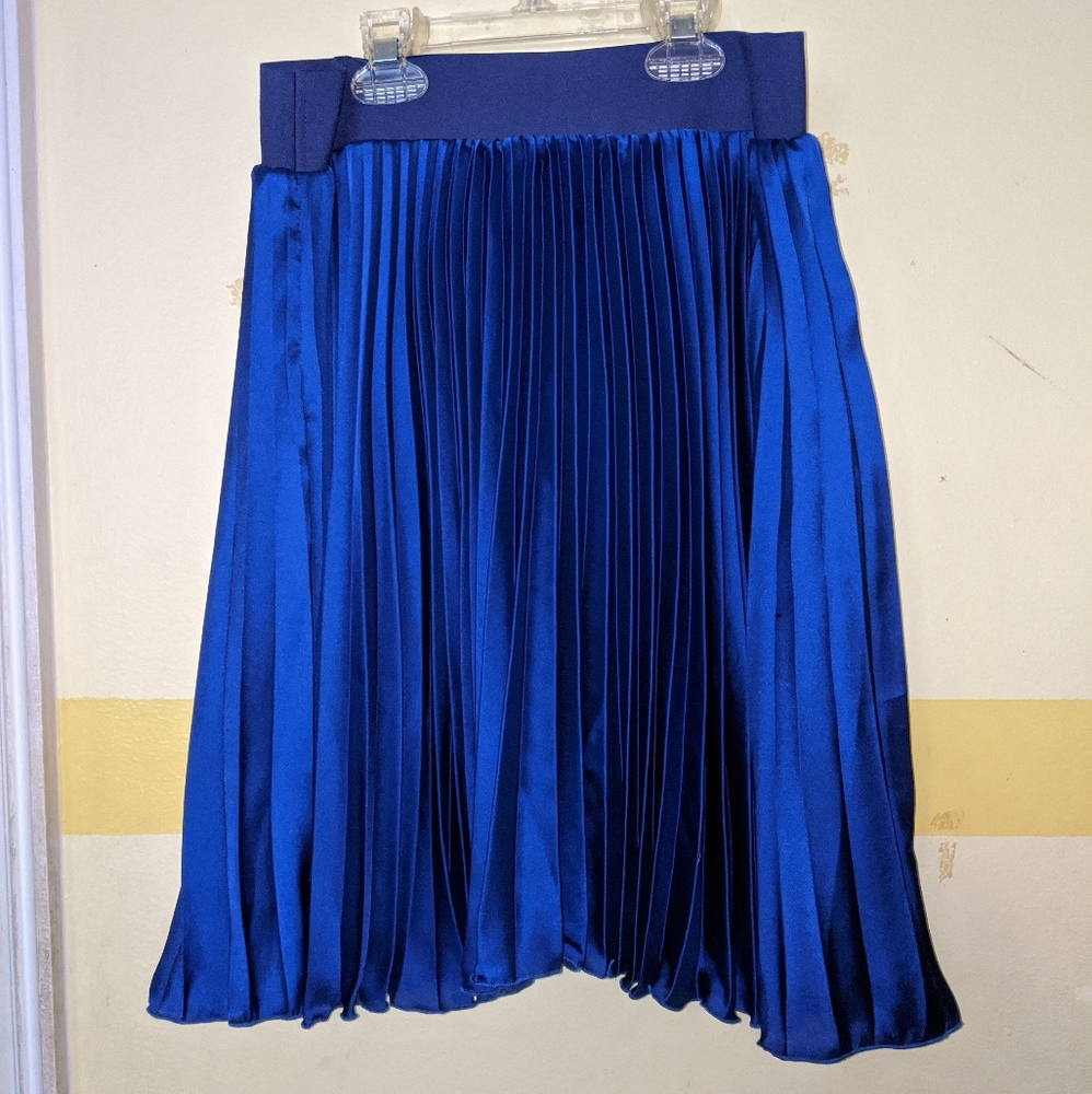 Blue pleated skirt